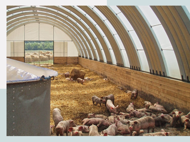 Строительство свинарников в Арзамасе