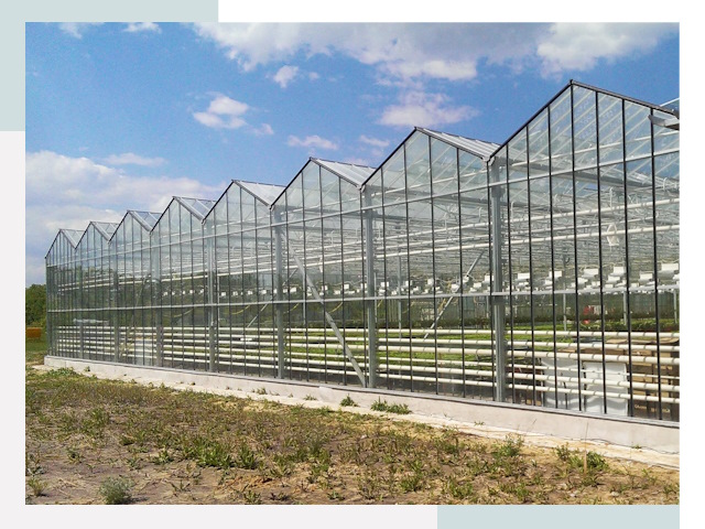 Строительство теплиц в Арзамас от 652 руб. за м²