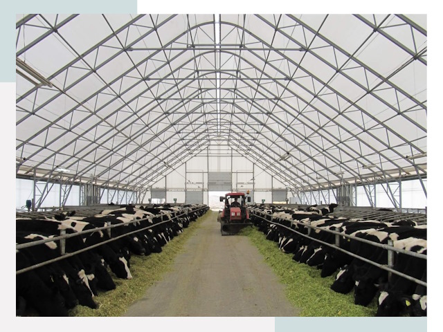 Тентовые коровники в Арзамасе от 652 руб. - Надежно и доступно