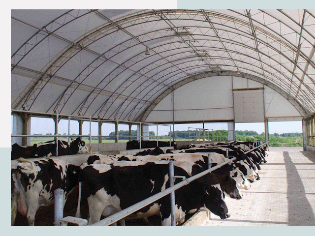 Тентовые коровники в Арзамасе